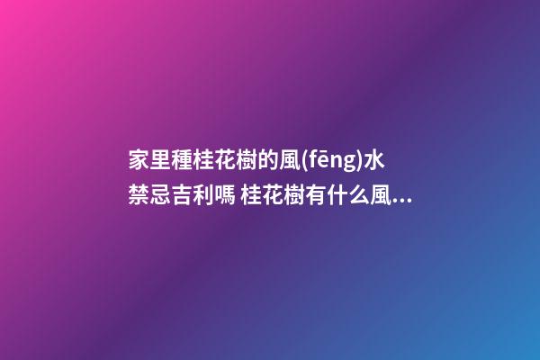 家里種桂花樹的風(fēng)水禁忌吉利嗎 桂花樹有什么風(fēng)水講究